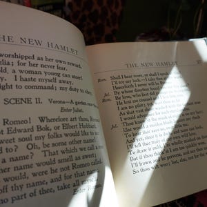 May include: Open book displaying text from Shakespeare's "The New Hamlet." The pages are aged, with visible text and a soft, natural light illuminating the scene. The book is open to a scene with dialogue.