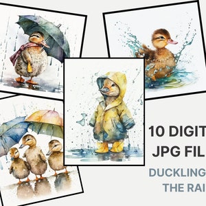 Ducklings in The Rain Printable Art - Digital Design Bundle of 10 - Clip Art