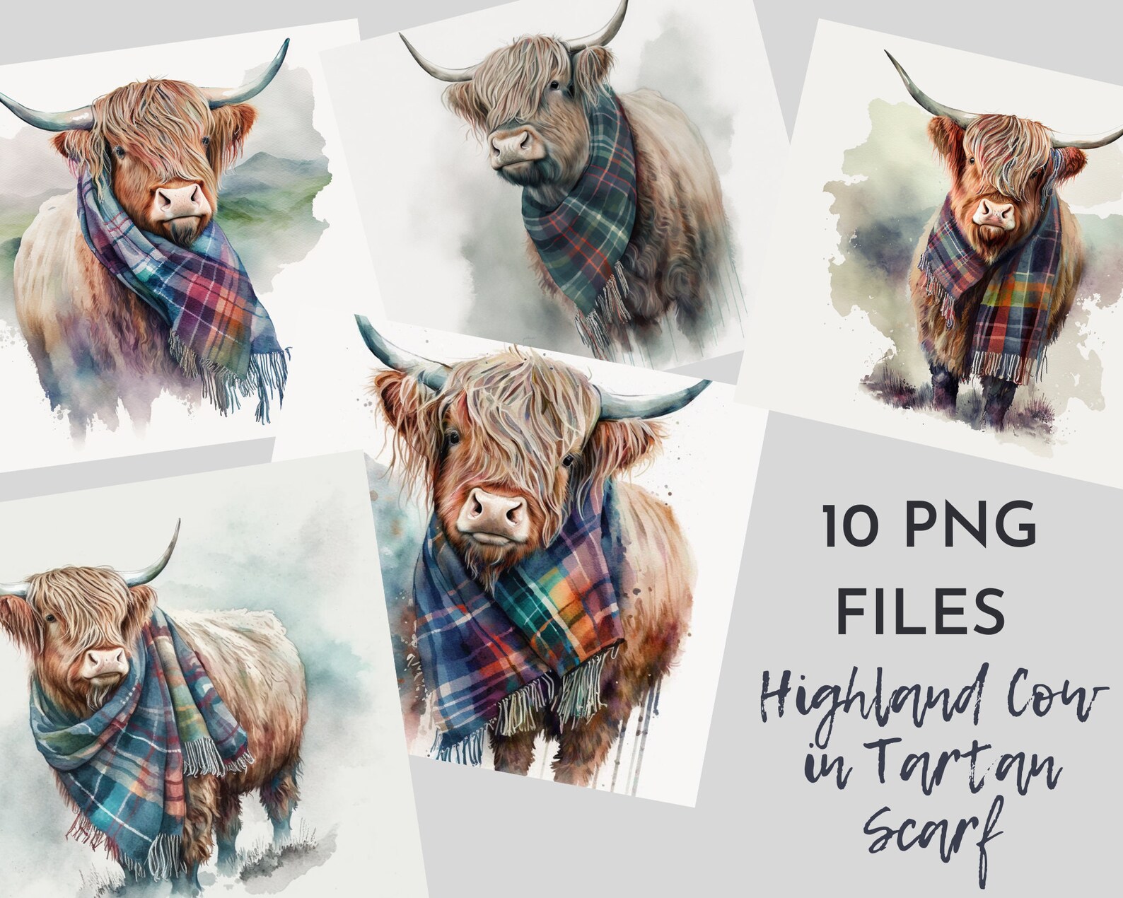 Highland Cow With Tartan Scarf 10pc PNG Bundle - Digital Design Bundle ...