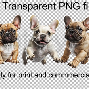 May include: Three French Bulldog puppies, one sitting and two standing, with different fur colors. The puppies are looking at the camera.