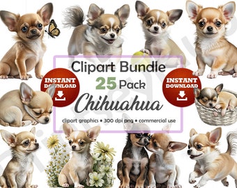 Chihuahua-Welpen Clipart Bundle süsse entzückende Welpen Bilder Grafiken hochwertige druckbare Kunst kein Hintergrund transparent PNG kommerzielle Nutzung