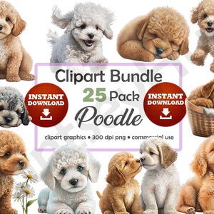 Poodle Puppy Clipart Bundle Cute Adorable Puppies Images Graphics High Quality Printable Art No Background Transparent PNG Commercial Use