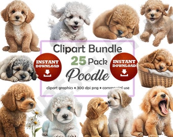 Poodle Puppy Clipart Bundle Cute Adorable Puppies Images Graphics High Quality Printable Art No Background Transparent PNG Commercial Use
