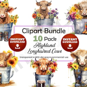 Best Highland Longhaired Cow Watercolor Clipart Bundle Cute Calves Calf in Metal Tub Images No Background Transparent PNG Instant Download