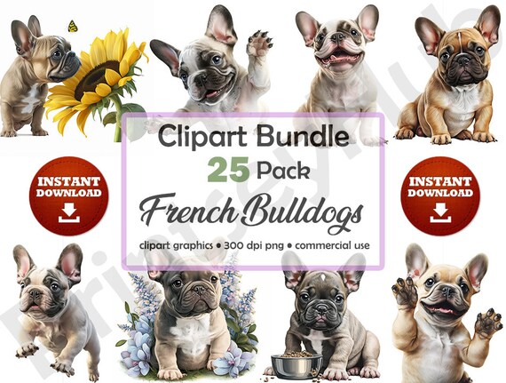 French Bulldog Clipart Bundle Cute Adorable Frenchie Puppy Images High Quality Printable Art No Background Transparent PNG Commercial Use