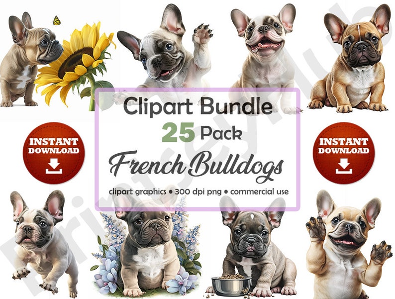 May include: A digital clipart bundle of 25 French Bulldog illustrations. The illustrations are in various poses and feature different colors and patterns. The text "Clipart Bundle 25 Pack French Bulldogs clipart graphics 300 dpi png commercial use" is displayed below the images.