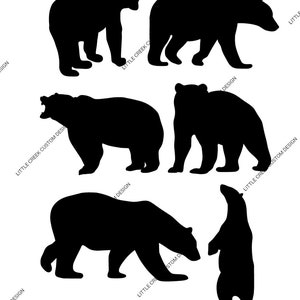 Bear SVG PNG, Grizzly Bear svg png, Black Bear svg png, Polar Bear svg png, Wildlife svg png, Forest Animal svg png, Silhouette svg png