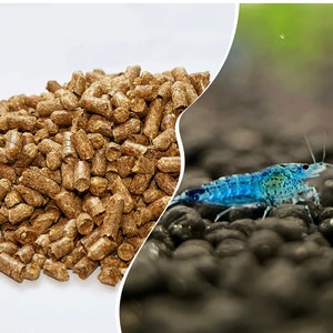 Natural Feed Kit and Blue Diamond Neocaridina Shrimp Perfect Aquarium Companions Bild 1