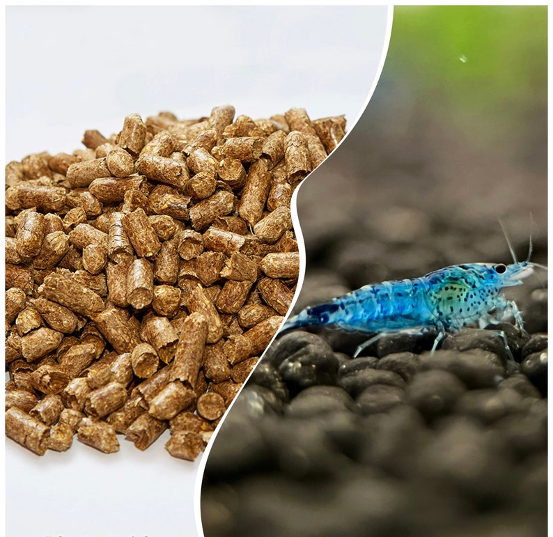 Natural Feed Kit and Blue Diamond Neocaridina Shrimp Perfect Aquarium Companions Bild 1