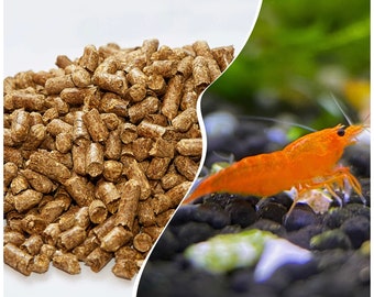 Kit d'alimentation naturelle et crevettes orange Sunkist Neocaridina - Compagnons parfaits d'aquarium !