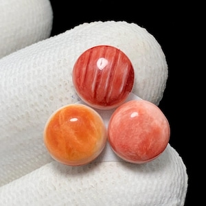 Spiny Oyster Set , 3 Pcs, Round Calibrated Cabochons, 9 MM, 10 CTS, Beautiful Cabochon, #16532