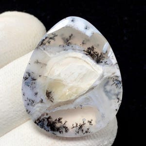 Puede incluir: Una piedra preciosa de ágata dendrítica en forma de lágrima. La piedra presenta una base blanca translúcida con intrincados patrones de inclusiones negras y grises, que se asemejan a paisajes en miniatura. La superficie pulida refleja la luz.