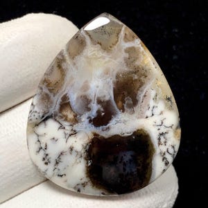 Puede incluir: Una gema pulida en forma de lágrima. La piedra presenta una mezcla de patrones blancos, marrones y negros, con una zona marrón oscura prominente en la base. La superficie es lisa y brillante, mostrando variaciones naturales.