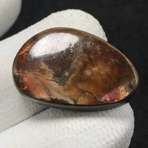Natural Ammolite, Freeform Cabochon, 24x16x5 MM, 15 CTS, Beautiful Cabochon,#14870