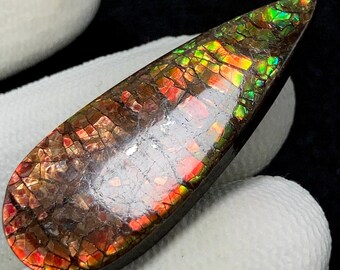 Cabochon D'ammolite Forme Libre - Pierre Précieuse Naturelle, Pièce Unique Butw Aa 1443A