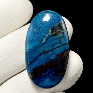 May include: An oval-shaped gemstone with a polished surface. The stone features a blend of deep blues, black, and brown hues, with visible veining and patterns. The gemstone is held against a white background.