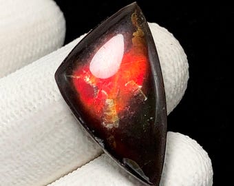 Cabochon En Ammolite (Ammonite) Forme Libre - Pierre Composite - Réf. Butw Aa 8290