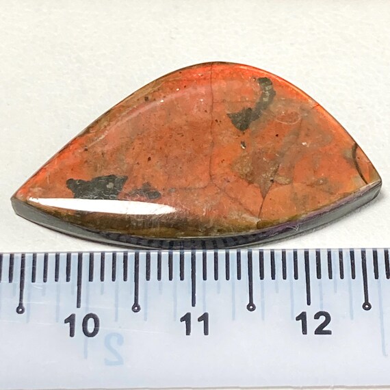 Cabochon Ammolite (ammonite) Forme Libre 1443A - Pierre Précieuse Naturelle, Neuve Avec étiquettes