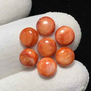 Zestaw ostryg kolczastych, 7 szt., okrągły kaboszon, 7 x 3 mm, 10 szt., piękny kaboszon, nr 18123