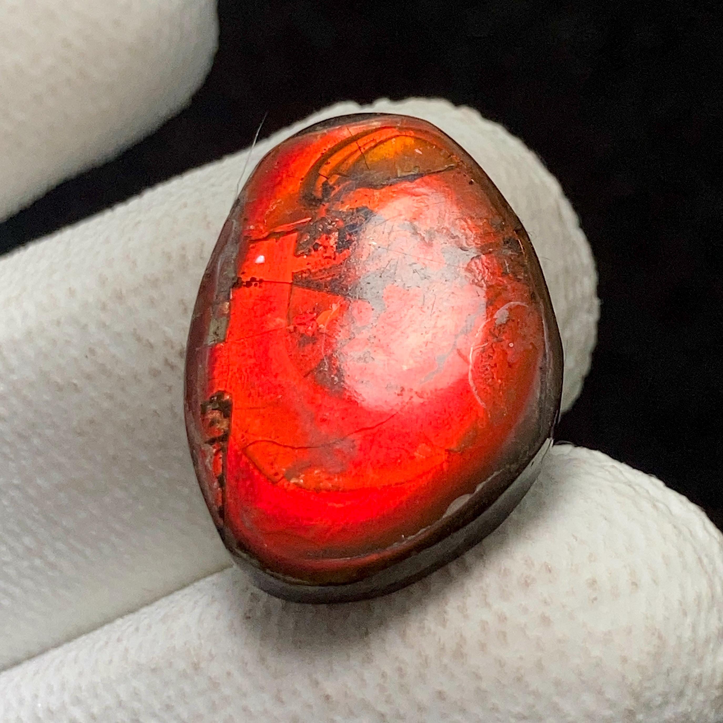 Cabochon D'ammolite Forme Libre - Pierre Précieuse Naturelle, Pièce Unique Butw Aa 1443A
