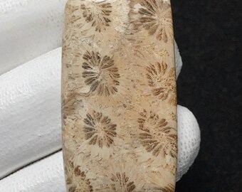 Natural Yellow Fossil Coral, Cushion Cabochon, 39x22x5  MM, 40 CTS,  Beautiful Cabochon,#1511