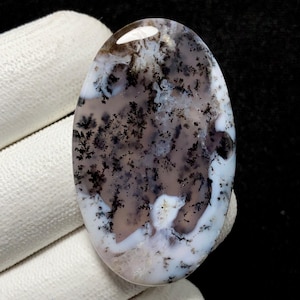 May include: An oval-shaped dendritic agate gemstone. The stone features a mix of white, tan, and black patterns, resembling a landscape or tree-like formations. The polished surface reflects light, highlighting the natural beauty of the stone.