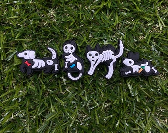 X-ray animals veterinarian croc charm INDIVIDUALS