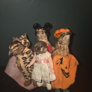 May include: A hand holds four bird figures dressed in costumes. One wears a leopard print outfit, another a Mickey Mouse hat, a third a white dress, and the last an orange pumpkin costume. The figures are whimsical and unique.