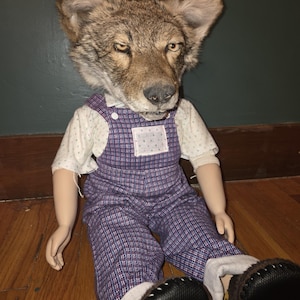 May include: A doll with a coyote head, wearing a straw hat, a white dotted shirt, and purple plaid overalls. The doll has brown shoes and is sitting on a wooden floor.