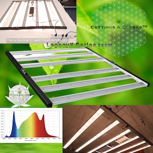 LegacyX Series 720w LED Grow Light (New 2023)