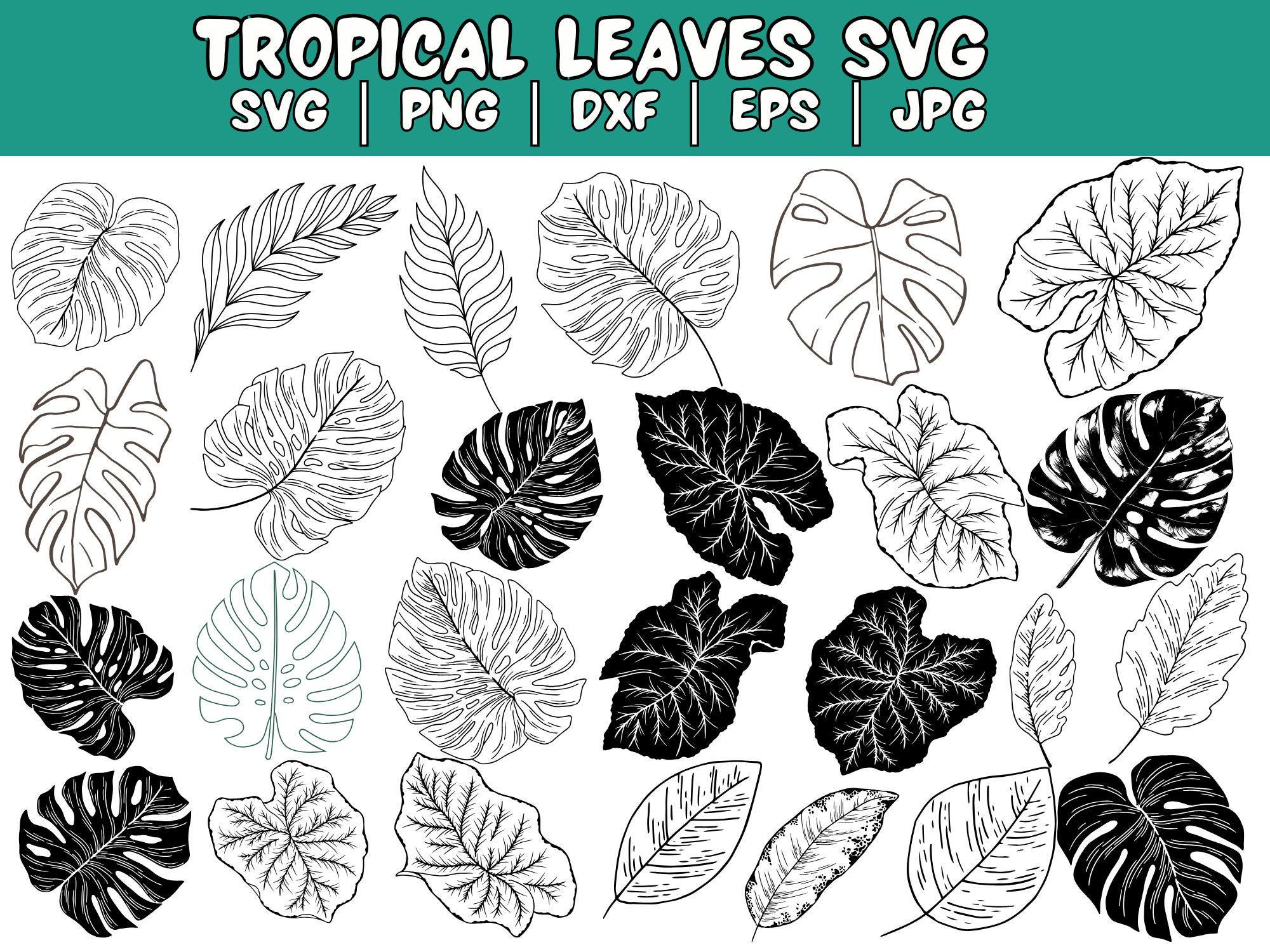TROPICAL SVG Bundle Jungle Floral SVG Monstera Banana Leaf Palm Leaf ...
