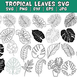 Puede incluir: Un conjunto de 20 ilustraciones de hojas tropicales en blanco y negro. Las hojas están dibujadas en un estilo simple, de línea de arte.  SVG, PNG, DXF, EPS, JPG.