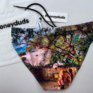 Men's swim briefs