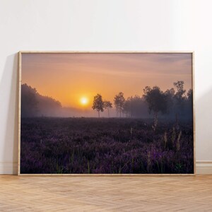 Lever du soleil dans le champ de bruyère, impression sur toile photo lever du soleil, affiches de la nature du paysage, tirages d'art, affiches d'art mural