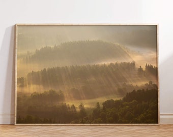 Sun Rays Over Forest Landscape Photography Print, Unique Wall Art, Fog Divided By Sun Rays Misty Forest, Sun Rays Foggy Morning View
