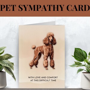 Biglietto di condoglianze per barboncino marrone standard, lutto per animali domestici, lutto per la perdita di un cane, biglietto digitale stampabile per cane, carta per condoglianze per animali domestici