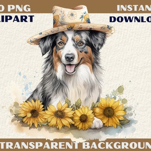 20 PNG watercolour Australian shepherd Dog clipart, Transparent background, Card Making, JPG digital art instant download commercial use