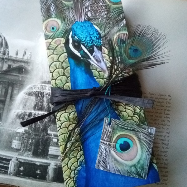 Peacock Gift Wrap Kit Blue Green Black Feather, Special Occasion Gift Box with matching Tissue Notecard Ribbon and Peacock Feather