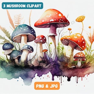 Mushrooms Watercolor Clipart Toadstool Clip Art PNG Instant Download Cute Forest Nature PNG Digital Download Mushy Clipart Wild Mushrooms
