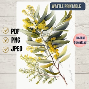Impresión digital abstracta de flor de acacia, arte de pared, descarga instantánea para decoración del hogar o la oficina, impresión floral PNG nativa de Australia imprimible