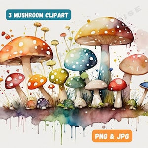 Watercolor Mushrooms Clipart Toadstool Clip Art PNG Instant Download Cute Forest Nature PNG Digital Download Mushy Clipart Wild Mushrooms