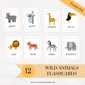 Flashcards Wild Animal Cards African Animal Flashcards for Learning Wild Animals Montessori Cards Pre-School to Learn African Animals
