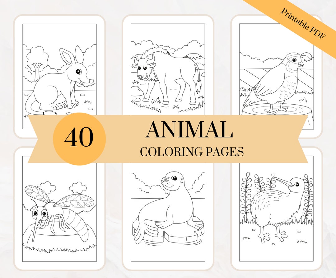 10 Rainbow Animal Coloring Books for a Vibrant and Creative Adventure
