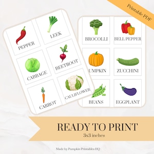 Flashcards Vegetable Cards Teaching Children Learning Vegetables ...