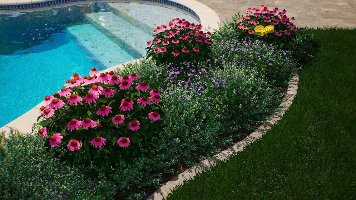 3D Video Visualizations for Garden, Landscape and Pool Construction - Etsy