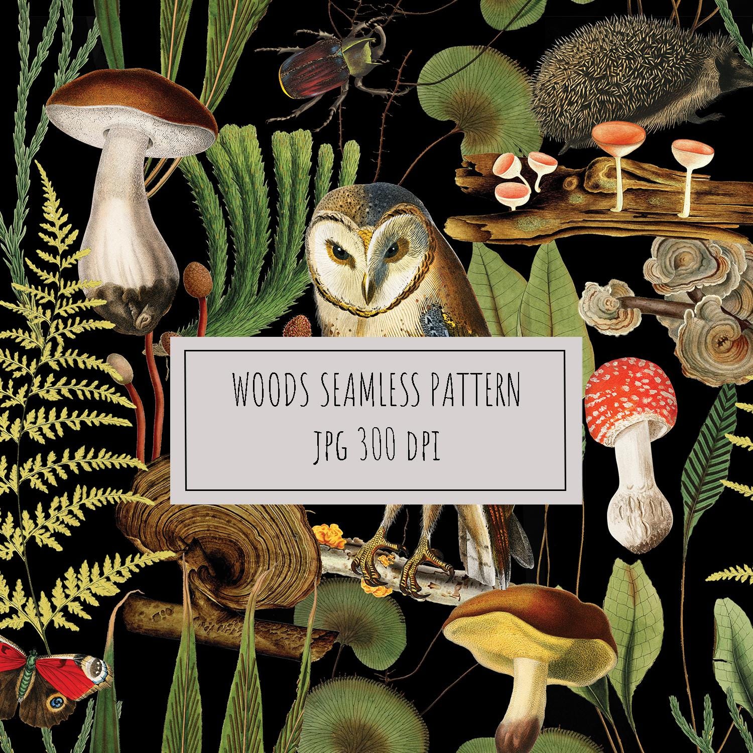 Elegant Vintage Forest Owl Seamless Pattern on Black Background &ndash; Original Stylish Nature Desi