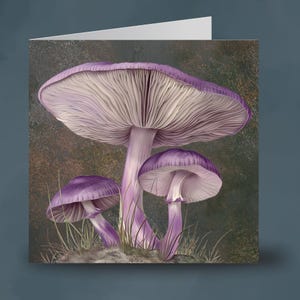 Amethyst Betrüger Waldpilze - 148 mm im Quadrat Blanko Grußkarte