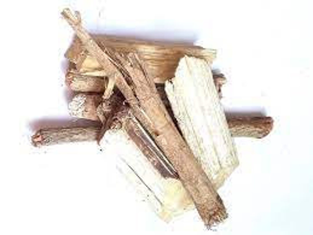 Arand Mool-ricinus Communes-raw Herbs-arandi Jadd-erand - Etsy