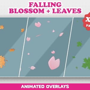 Falling Blossom & Leaves Transparent Overlay | Twitch stream Animated Overlay | Stream Decoration