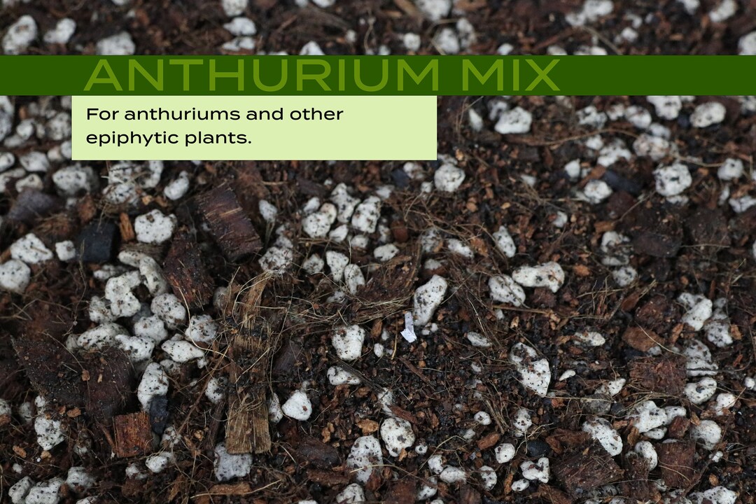 Anthurium Potting Mix for Anthuriums and Other Epiphytes Etsy